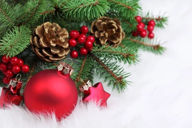 Koruso – Christmas Concert Hits The High Notes And Raises Over ...