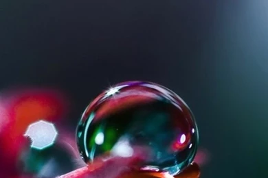 Very Nice Drops iPhone 5 Wallpapers