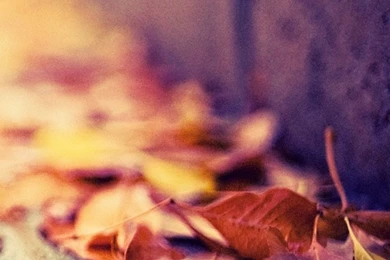 Nice iPhone 6 Wallpapers HD And Nice iPhone 6 Plus Wallpapers ...