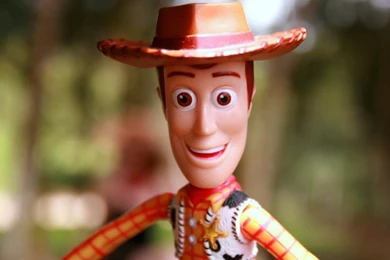 Woody Toy Wallpapers   1920x1200   248459