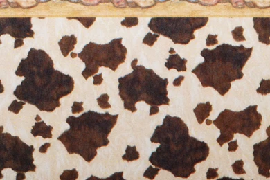 1:48 Wallpapers "Cowboy Boots"