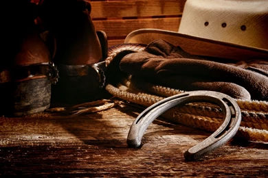 Shoes Cowgirl Boots Photography With Horses