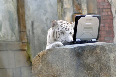 2 Panasonic Toughbook HD Wallpapers