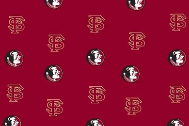 Florida_State_FSU_Seminoles_Crib_Bumpers_ _Red_  _FSU.jpg