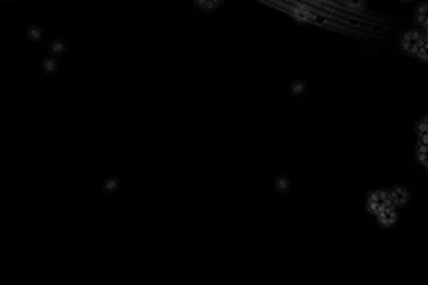 Black Music Backgrounds Wallpapers For Galaxy S6.jpg