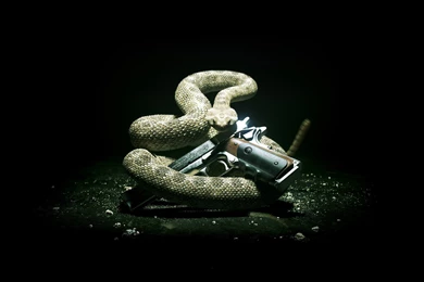 Wallpaper, Desktop, Snake (