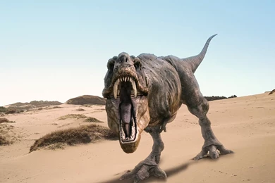 Tyrannosaurus Rex HD Wallpaper.jpg Photo By Tigerb1111