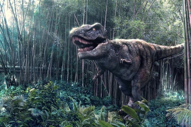 Tyrannosaurus Rex Wallpapers