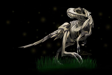 Dinosaurs Skeletons Tyrannosaurus Rex Wallpapers