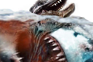 Megalodon Vs Tyrannosaurus 1920x1080 Wallpapers Download