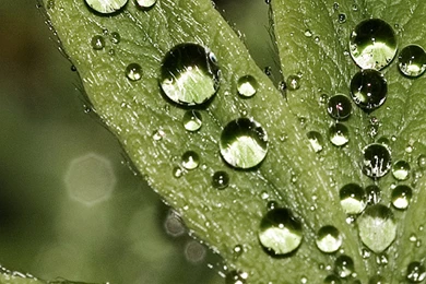 Water Drops Wallpapers For Galaxy S6