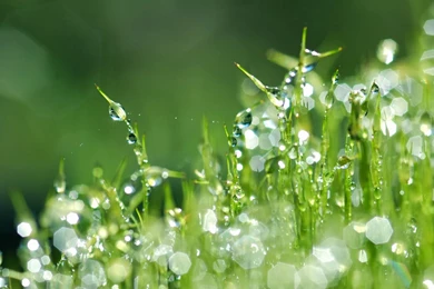 20 Water Drops Wallpapers