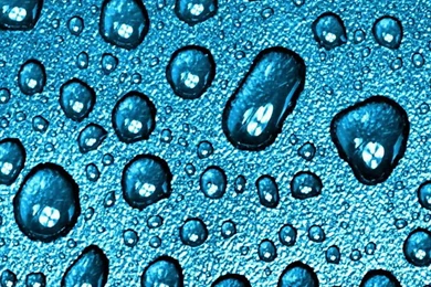 Water Droplets Wallpapers   Free iPhone Wallpapers