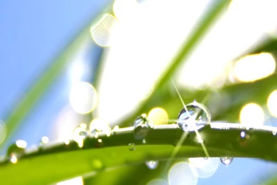 Download Water Drop Samsung Galaxy Note 3 Wallpapers