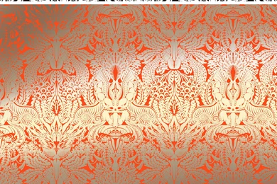 Anatomy Of The Flower