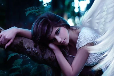 Free Download Wallpapers HD : Beautiful Angel Wallpapers