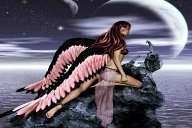 ANGEL WINGS Wallpapers Download The Free PINK & BLACK ANGEL WINGS ...