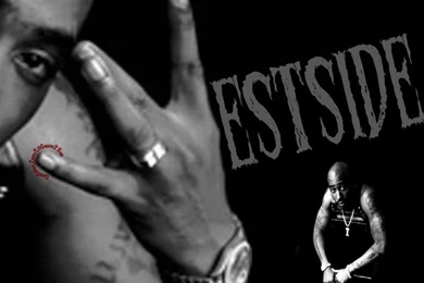 Westside Graphics And Comments