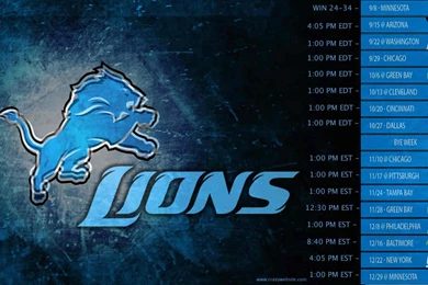 Hd Detroit Lions Nfl Team Wallpaper, Size: 1600x900