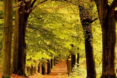 Beautiful Nature Scenery Wallpapers