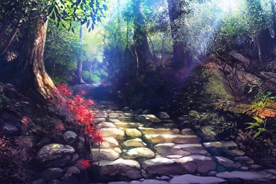 Scenic Scenery HD Wallpapers