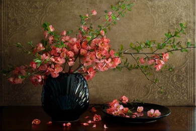 Still Life Wallpapers