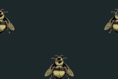 Napoleon Bee, A Wallpapers Design On Velvet From Timorous Beasties ...