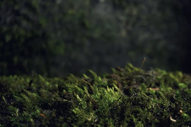 Download Landscapes Dark Wallpapers 1920x1080