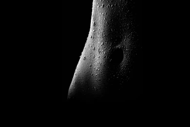 Stomach, Wallpapers, Landscape, Dark, Leaves, Green (