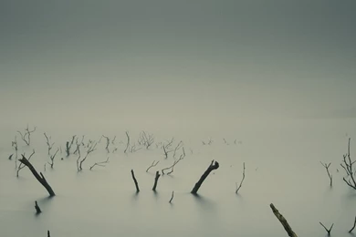 Grey Dark Landscape S4 Wallpapers