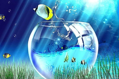 Fish_animation_wallpaper_free_download_2.jpg