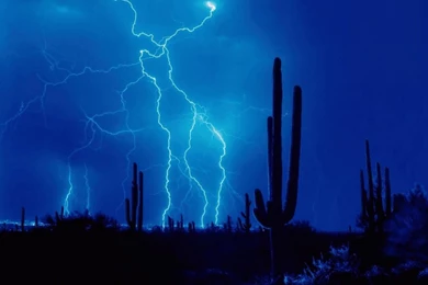 Gif Wallpapers Download   Gif Wallpapers Download , Wallpapers Gif ...