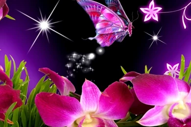 Cute Animated Wallpapers For Mobile