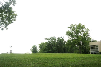 The “Other” Wylie House On South Walnut