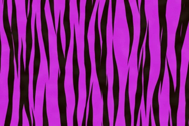 Colorful Tiger Print Backgrounds