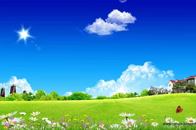 Best Top Desktop Spring Wallpapers Hd Spring Wallpaper Backgrounds ...