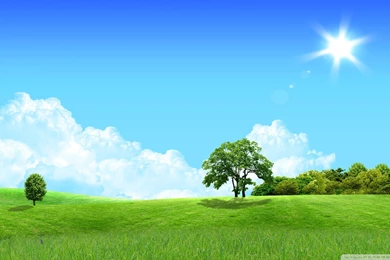 Download Dreamscape Summer 9 Wallpapers 1920x1080