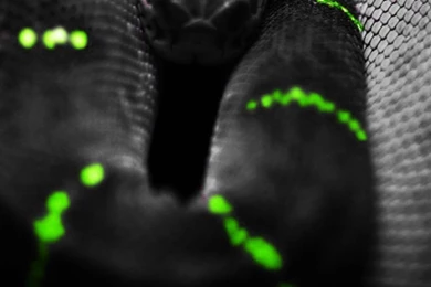 30 HD Black iPhone Wallpapers