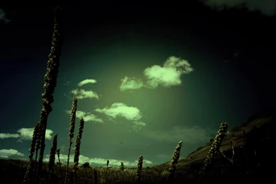 Wallpapers : OFF Topic