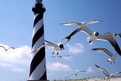 Cape Hatteras Lighthouse North Carolina   Coastal Buildings And ...