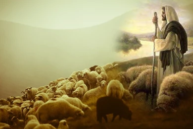 Jesus Shepherd Images   Wallpapers High Definition