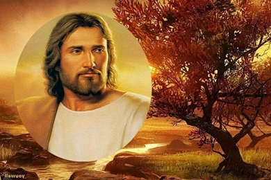 Wallpapers Divine Mercy Jesus My Lord And Christ Ajilbab Com ...