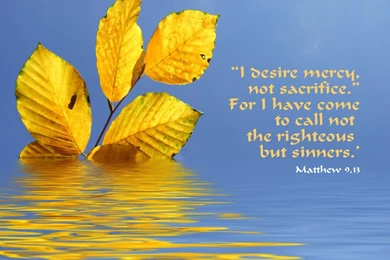 Jesus Cals Wallpapers Free Download Wallpapers Dawallpaperz