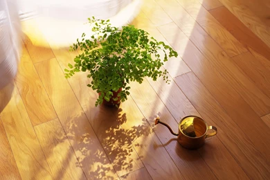 Home Living Wallpapers