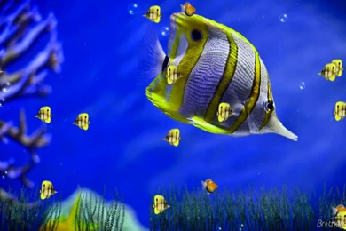 Living Wallpapers For Windows 7 – 1536×960 High Definition ...