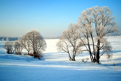 1920*1200 Widescreen Winter Snow Scenes   Dreamy Winter Snow ...