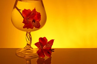 1440x1280 Mobile Phone Wallpapers Download   32   1440x1280 ...