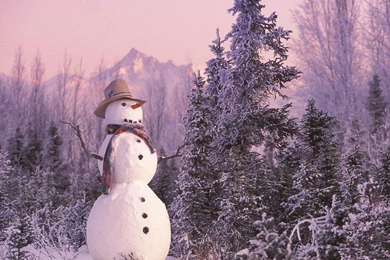 Mon 23 Nov CET 2015   610x402px Black Friday Desktop Wallpapers ...