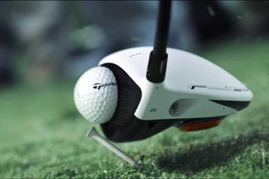 Panda Wallpapers Widescreen – Wallpapers