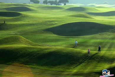 Best New Golf Wallpapers HD For iPhone . Best High Resolution ...